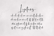 Boisterous Signature, a Script Font by Dhan Studio (Thumbnail 22 of 24)