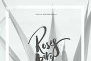 Adele 6 Fonts (70% off), a Script Font by Fortunes Co (Thumbnail 2 of 7)