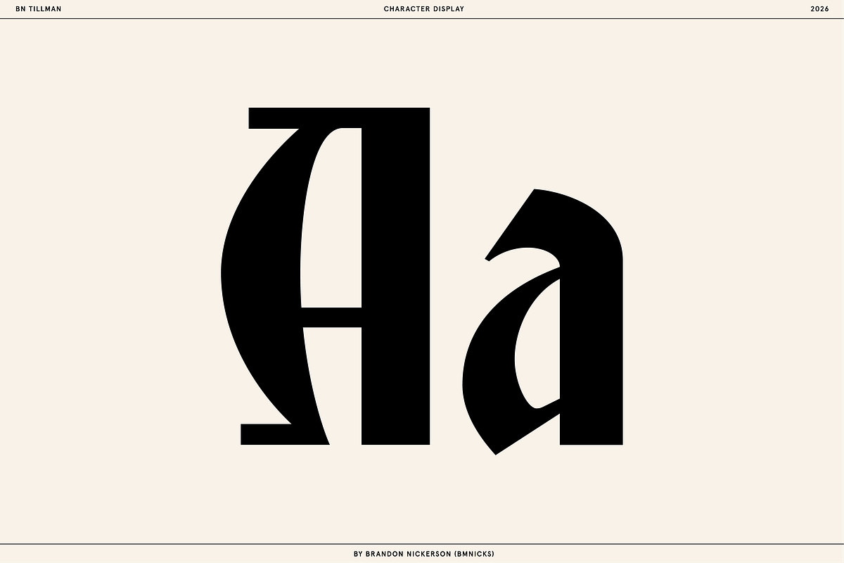 BN Tillman Gothic Display Typeface, a Serif Font by Bnick (Photo 2 of 12)