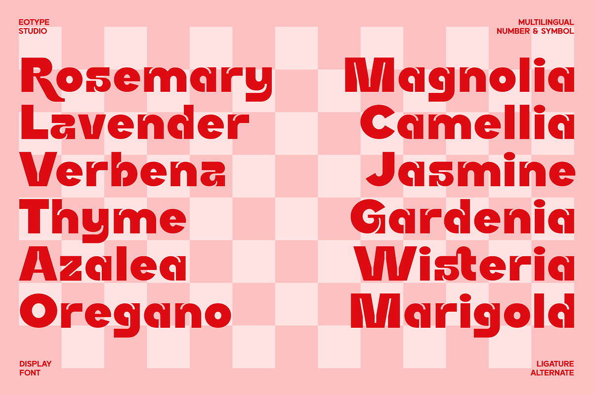 Rucka Display Typeface, a Sans Serif Font by Eotype Studio (Photo 9 of 9)