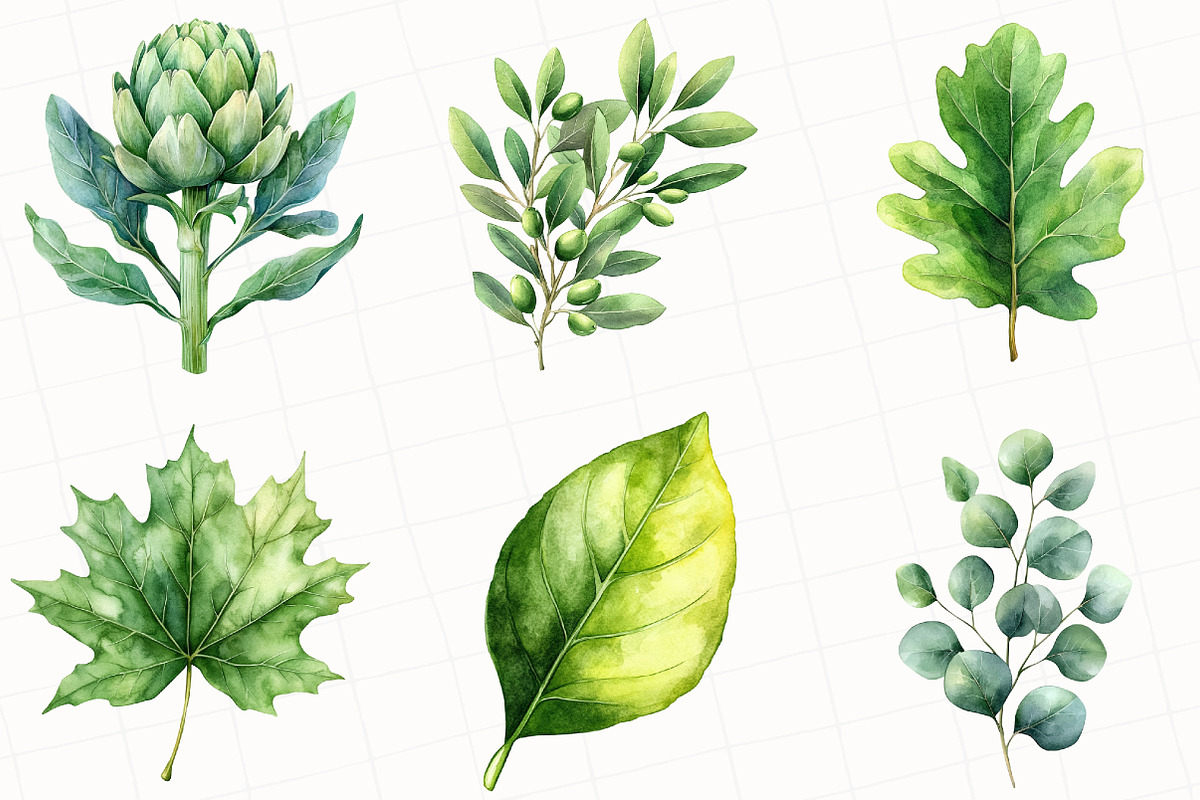 Green Summer Foliage Clipart, an Illustration by OK Design (Photo 2 of 5)