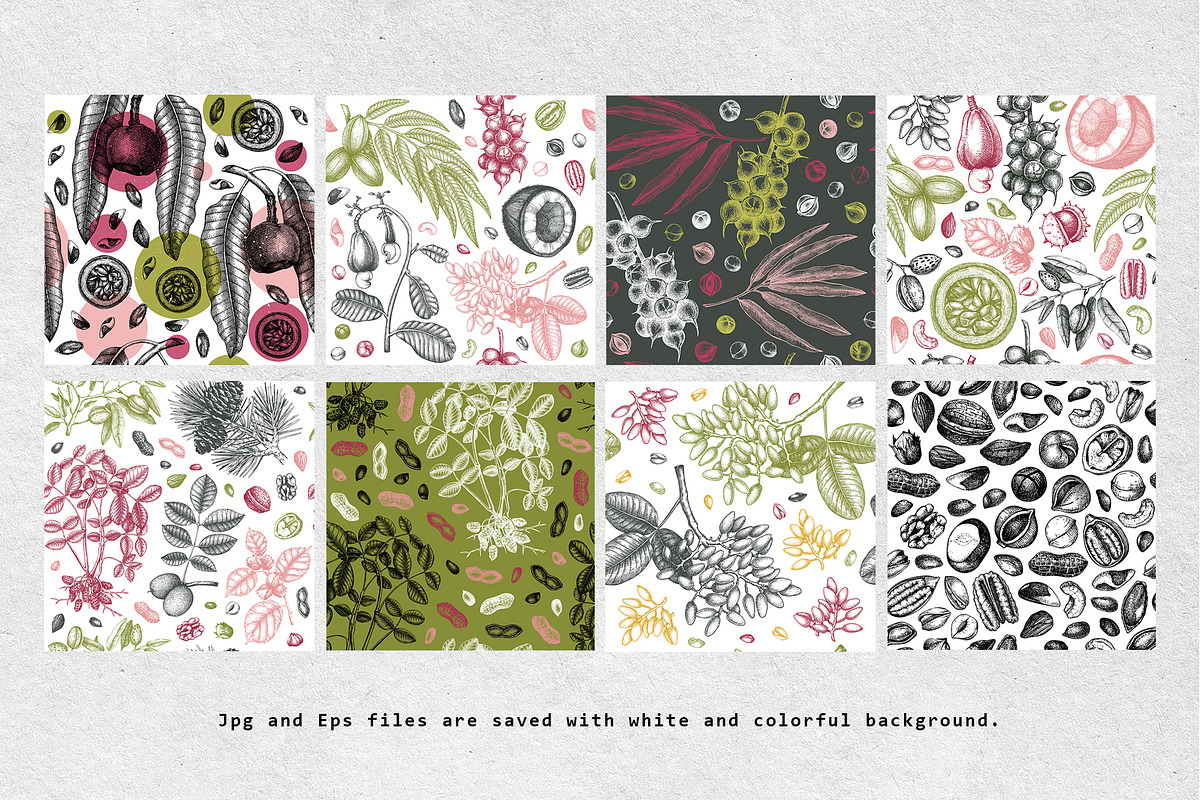 Nuts Hand-Drawn Vector Illustrations, a Food Illustration by Yevheniia (Photo 14 of 15)