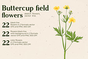 Flowers Buttercup. Sketch flowers, an Illustration by irina.vaneeva (Thumbnail 2 of 6)