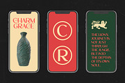 Roygen Elegant Sans Serif Display, a Sans Serif Font by timelesstype.co (Thumbnail 9 of 20)
