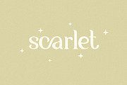 Yunan - Modern and Classy Font, a Serif Font by Flawless And Co (Thumbnail 5 of 14)
