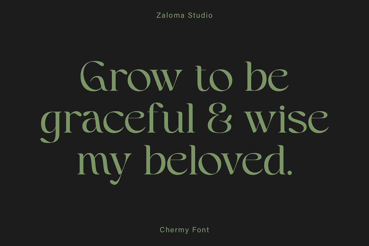 Chermy, a Serif Font by Zaloma Studio (Photo 8 of 17)