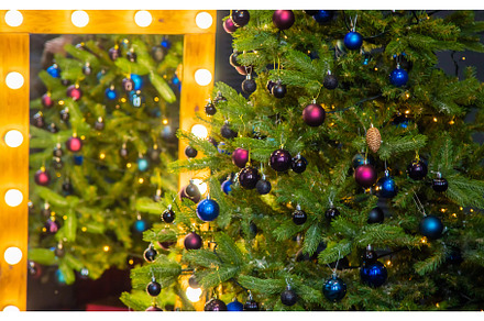 Christmas tree with decorations and, a Holiday Photo by yanadjana