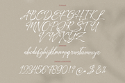 Leirtag Aquelli | Vintage Script, a Script Font by Denustudios (Thumbnail 13 of 15)