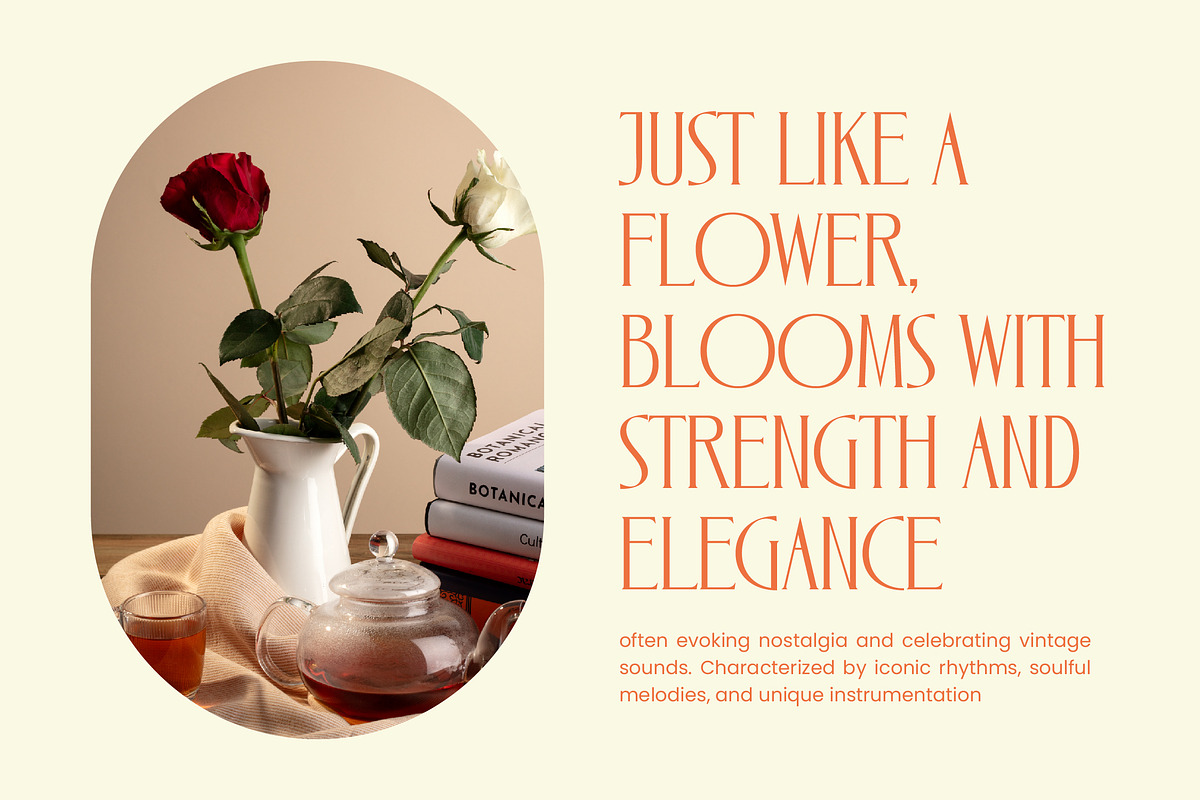 Zamilah Modern Serif Display, a Serif Font by timelesstype.co (Photo 10 of 20)