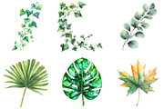 Green Summer Foliage Clipart, an Illustration by DreamArtGraphic (Thumbnail 3 of 4)