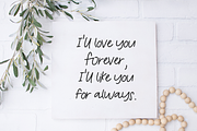 Graceful Willow Script, a Handwritten Font by Beck McCormick (Thumbnail 5 of 10)