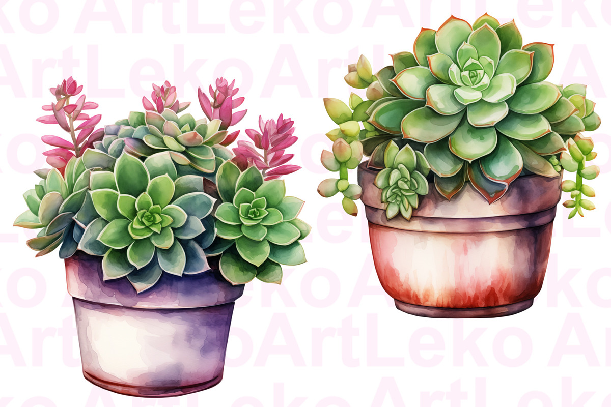 Succulents Watercolour Clipart, a Decorative Illustration by LekoArt (Photo 5 of 10)