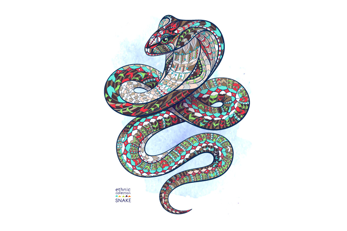 Ethnic Collection: Snake, an Animal Illustration by ArtoJoy (Photo 3 of 5)