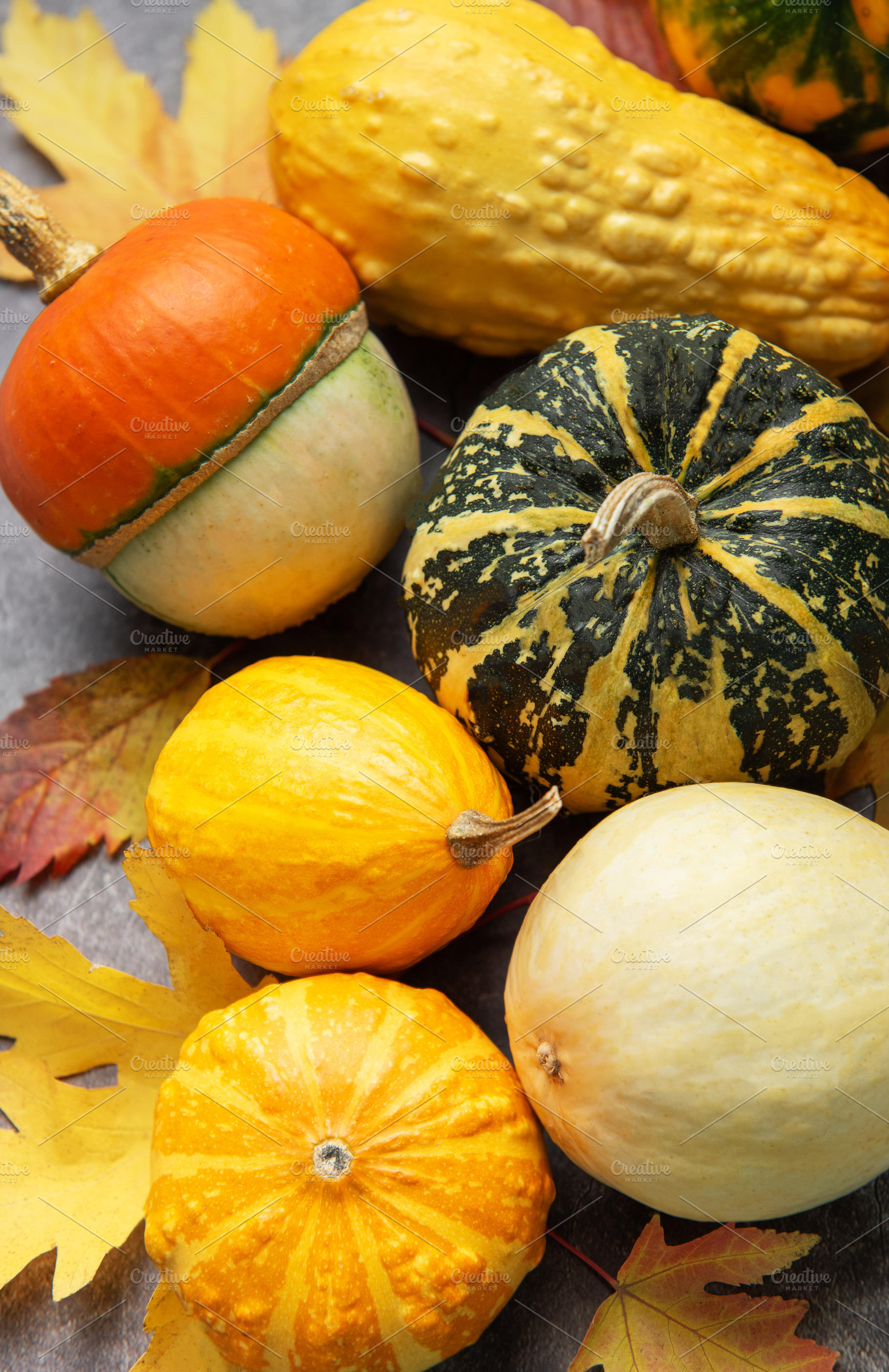 Decorative gourds and autumn leaves reflecting harvest season, a Holiday Photo by Olena Rudo