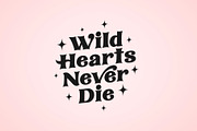 Wicked Hearts Retro Serif, a Serif Font by Sam Parrett (Thumbnail 7 of 12)