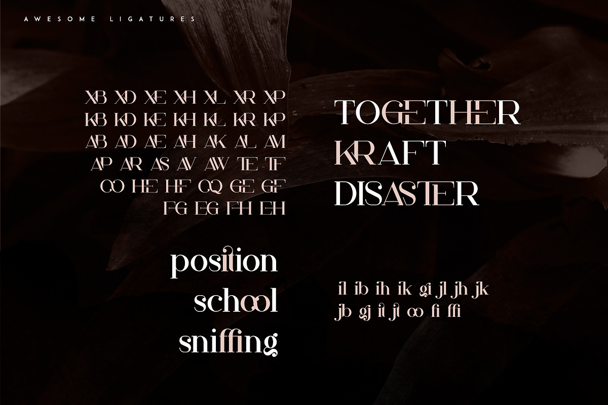 Papillon - Handcrafted Serif Font, a Serif Font by VP Fonts (Photo 6 of 13)