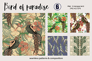 Bird of paradise collection, a Pattern Graphic by Polanika (Thumbnail 1 of 8)