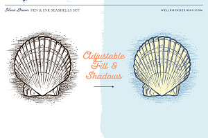 Sea Shells Vector Beach Bonus