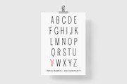 Damour Family, a Sans Serif Font by Viktorvuka's Type Foundry (Thumbnail 9 of 12)