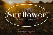Qitello Ligature Serif Typeface, a Serif Font by Alfinart (Thumbnail 6 of 10)
