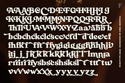 Whiskey Sour Retro Serif, a Serif Font by Fenotype (Thumbnail 10 of 14)