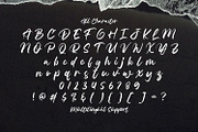 Celline Fram - Textured Brush Font, a Script Font by StringLabs (Thumbnail 12 of 14)