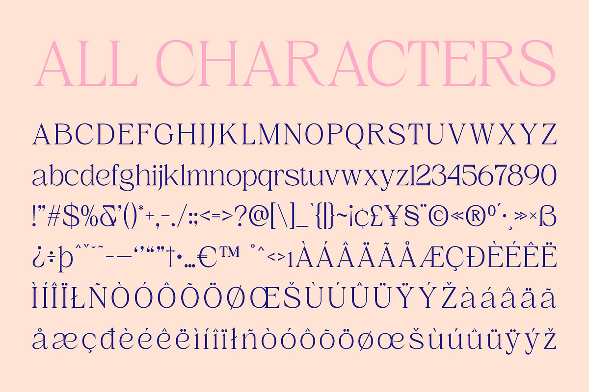 CS Castle – Elegant Font, a Serif Font by Craft Supply Co. (Photo 8 of 8)