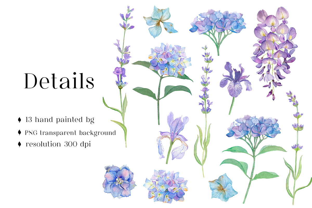 Watercolor Purple Flowers clipart, a Graphic by WatercolorAnn (Photo 2 of 5)