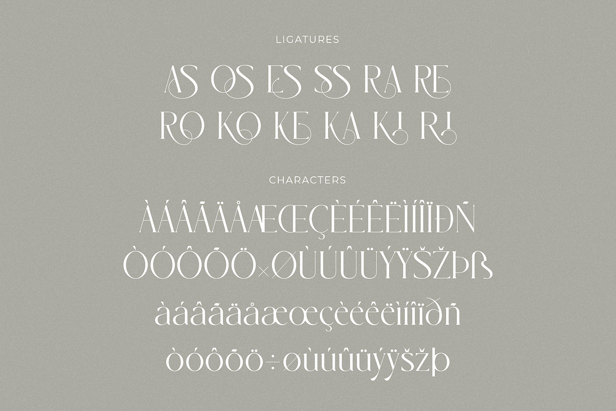 Aslones | Modern Luxury Serif, a Serif Font by Muflieart (Photo 10 of 10)