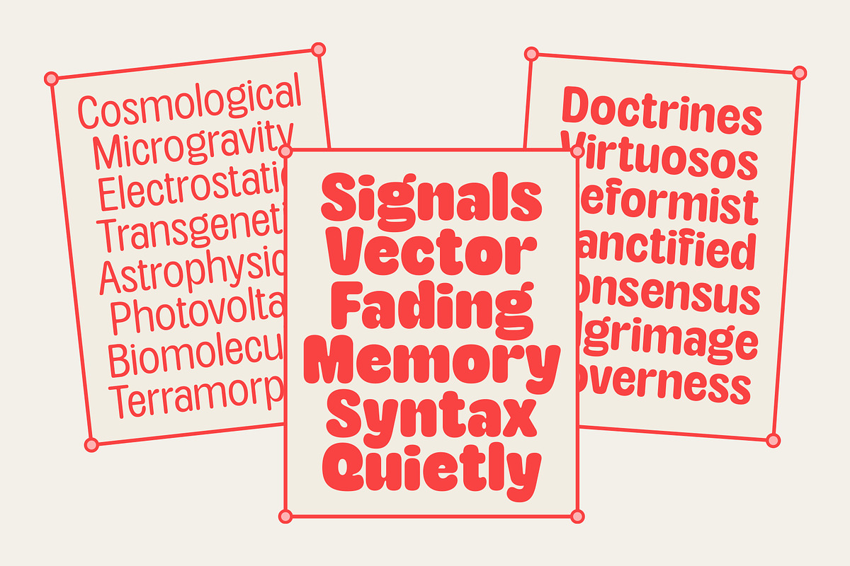 TNSC Aiger -  Rounded Sans, a Sans Serif Font by The Native Saint Club (Photo 11 of 14)