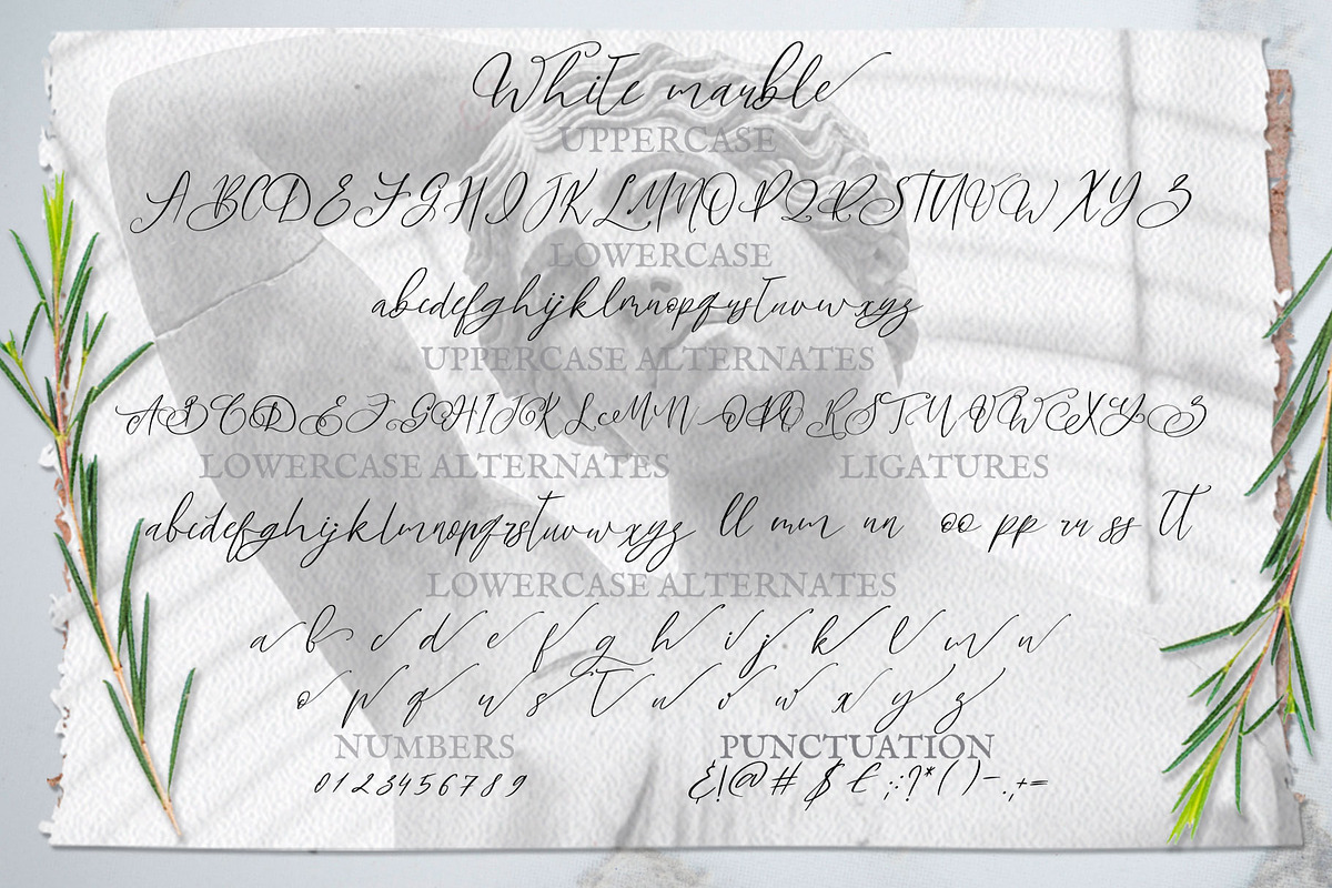 White Marble Calligraphy Font, a Script Font by CallMeStasia (Photo 9 of 10)