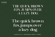 Auralux - Modern Serif Font, a Serif Font by Almeera Std (Thumbnail 5 of 5)