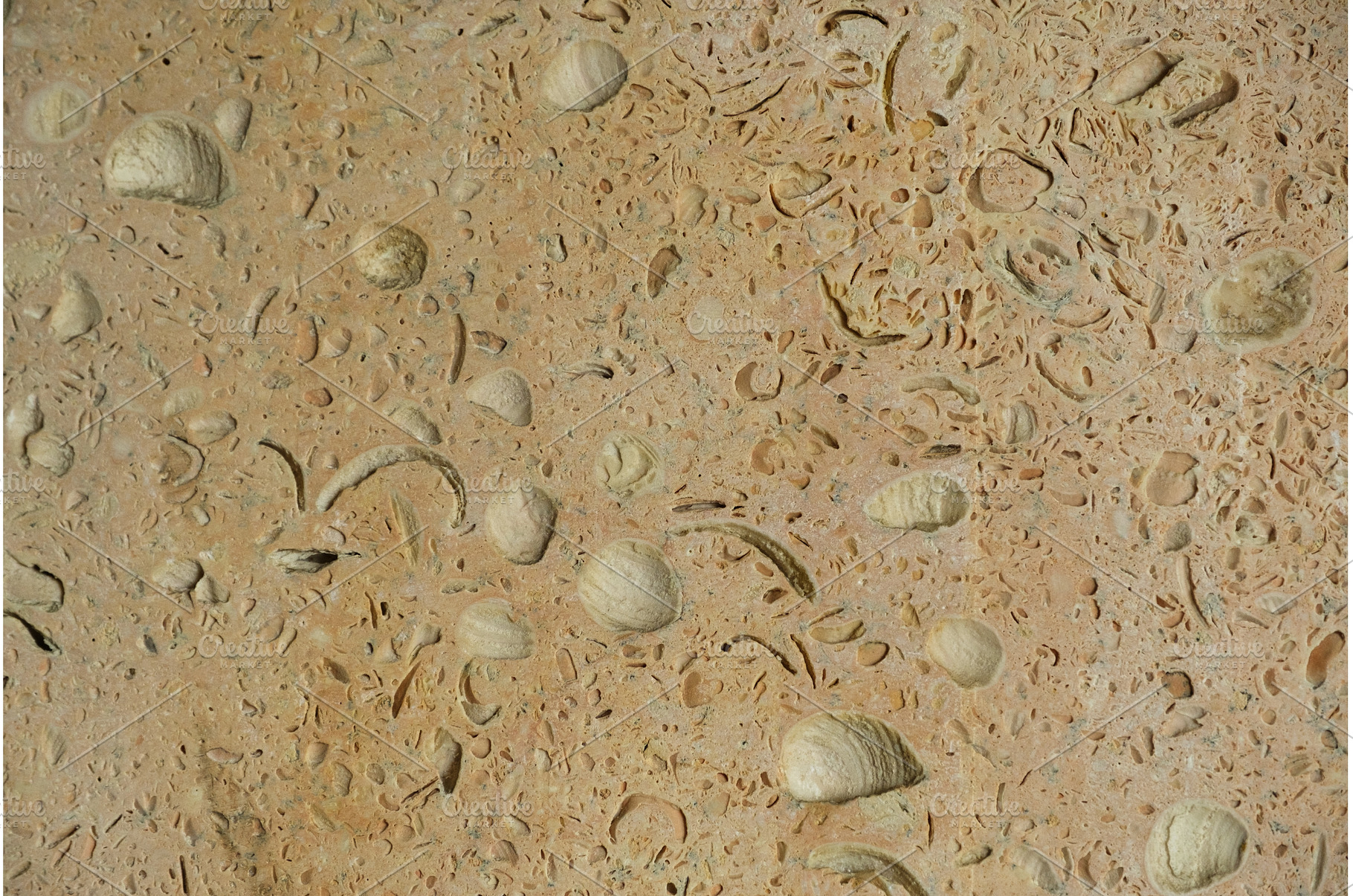 Close-up of a sedimentary rock, a Background Photo by Rohan Photography