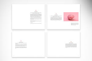 Brand Book Guidelines Template