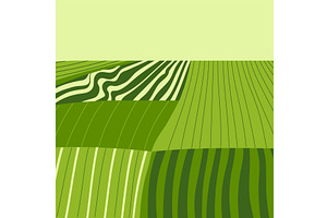 Vector farm field landscape. Furrows
