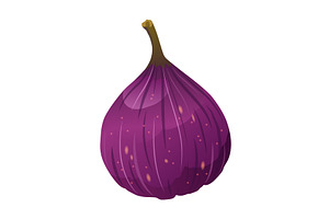Fig Fruit Whole with Thin Skin, a Food Illustration by the8monkey