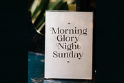Gold & Song Modern Serif Font, a Serif Font by Storytype Studio (Thumbnail 3 of 15)