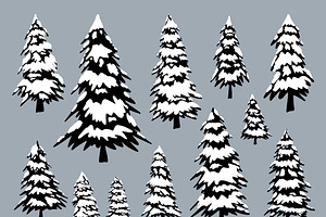 Pine Trees With Snow In The Winter