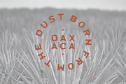 Oaxaca, a Font by James Coffman Design (Thumbnail 1 of 3)