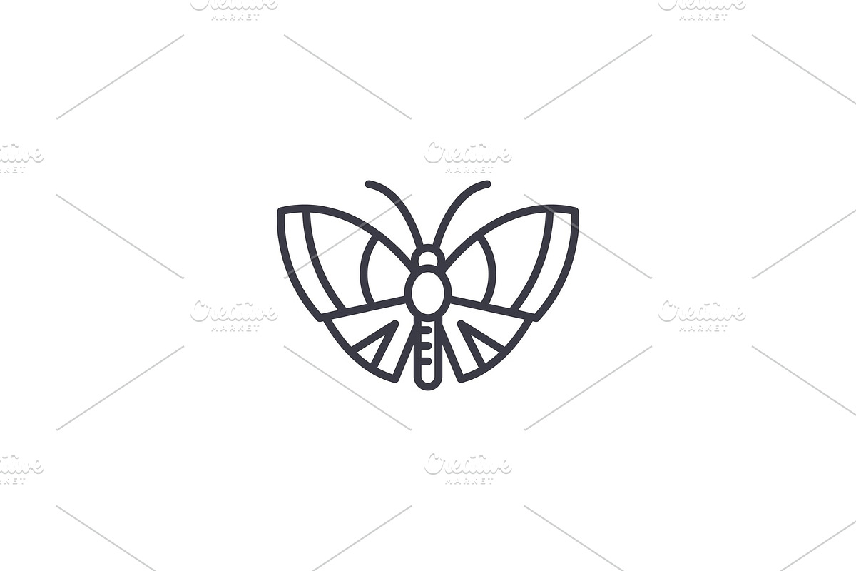 butterfly vector line icon, sign, illustration on background, editable strokes, an Animal Illustration by urban icon