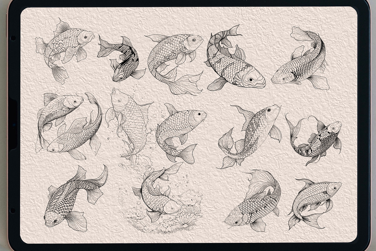 63 koifish Coloring   brush stamp, a Brush Add-On by TaKong Magics (Photo 3 of 4)