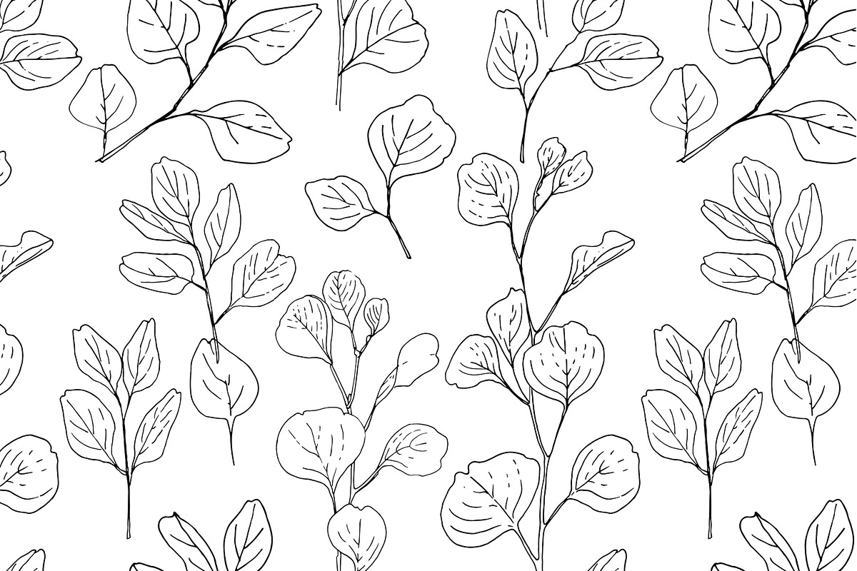 Protea flowers and eucalyptus sketch, an Illustration by irina.vaneeva (Photo 10 of 12)