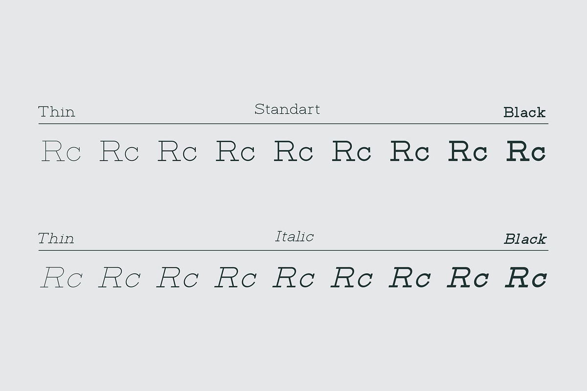 Rante Contact, a Slab Serif Font by takoliko (Photo 8 of 12)