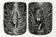 Wolf Wildlife Engraving Graphics, an Animal Illustration by DENIDigitalArtSudio (Thumbnail 5 of 12)