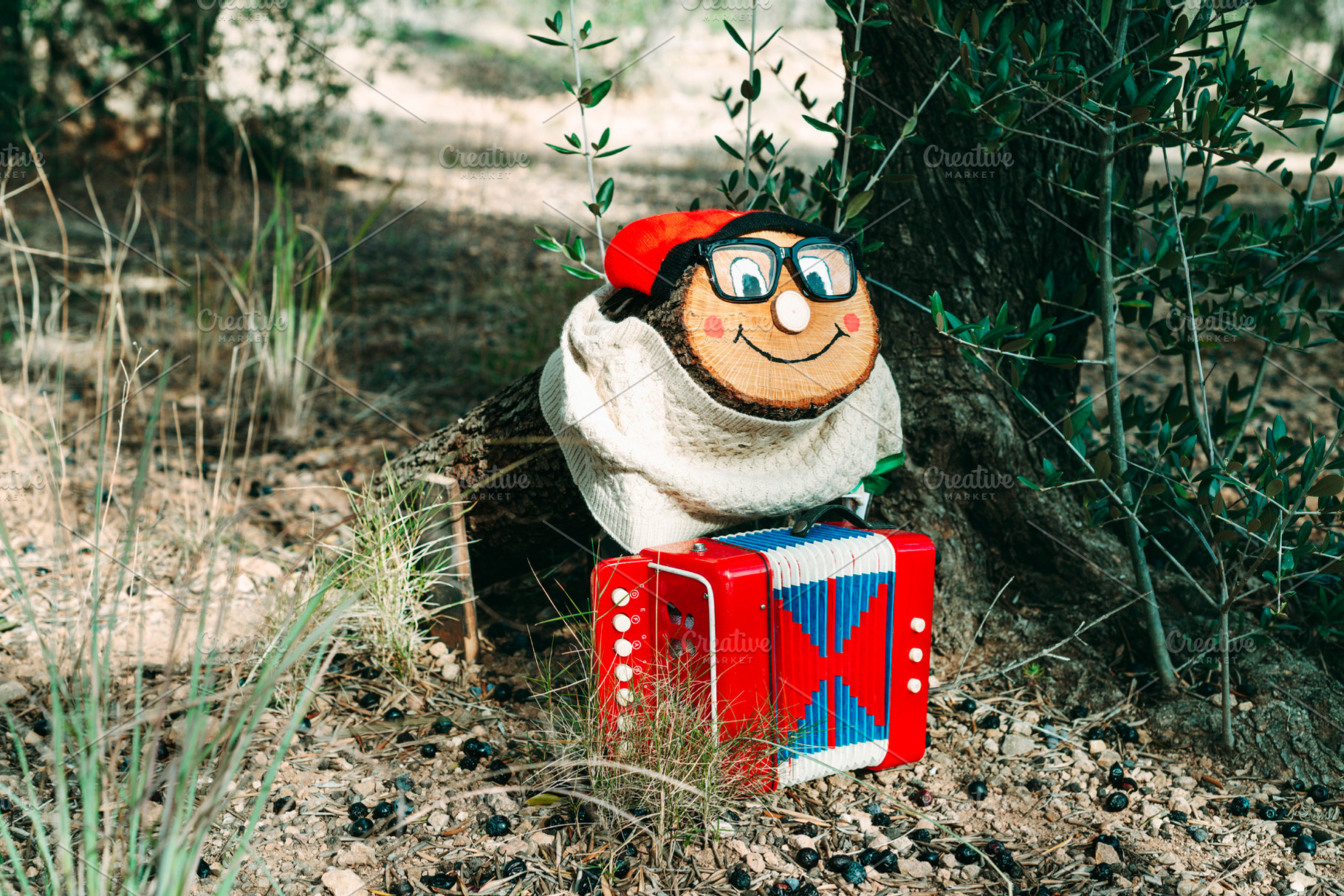 a Tio de Nadal with glasses in the forest, a Photo by Nito