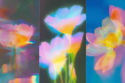 Mystic Haze: Floral Blur Backgrounds, a Background Graphic by Anzhelika (Thumbnail 4 of 12)