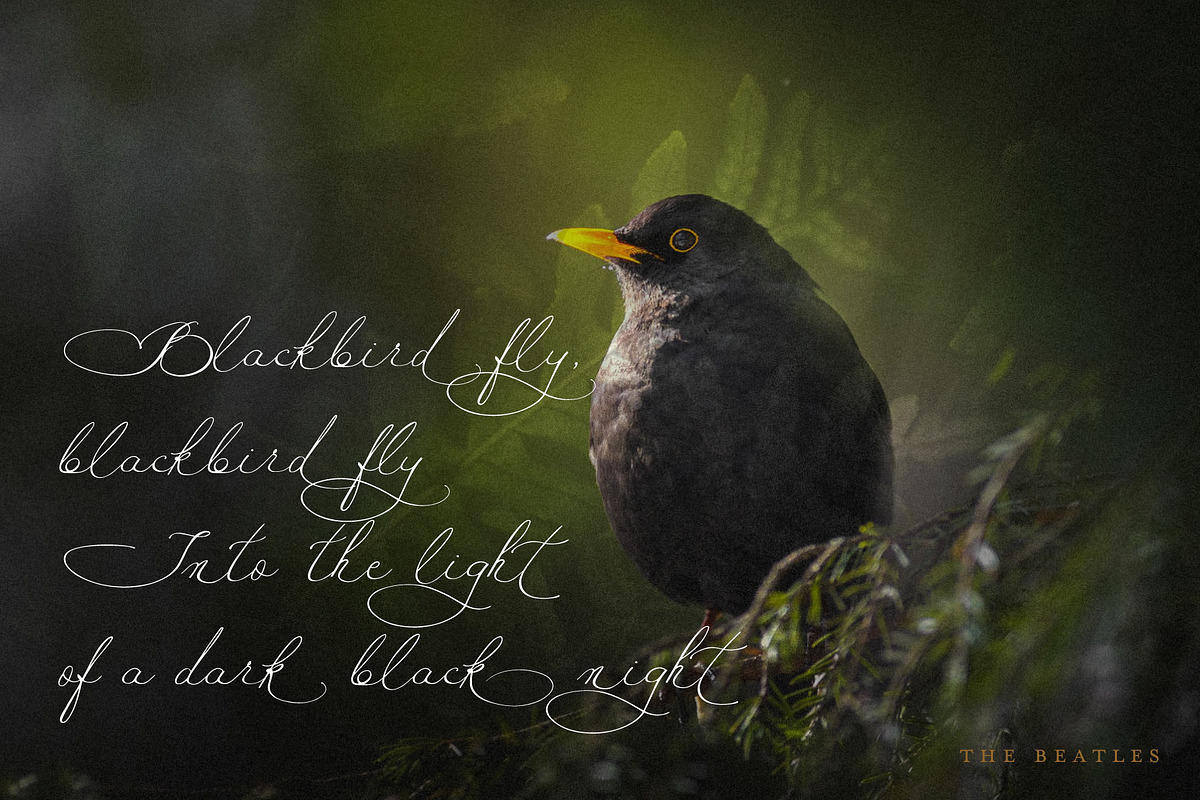 Maria Louisa Script Font, a Script Font by MLT DESIGN LAB (Photo 5 of 16)