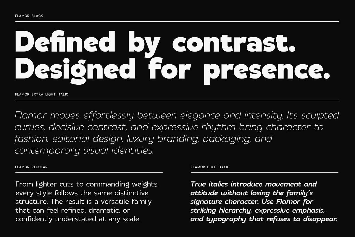 Flamor - Editorial Sans Serif Family, a Sans Serif Font by VP Fonts (Photo 15 of 23)