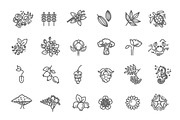 Plants Vector Icons, an Outline Icon by Tettygreen (Thumbnail 2 of 2)