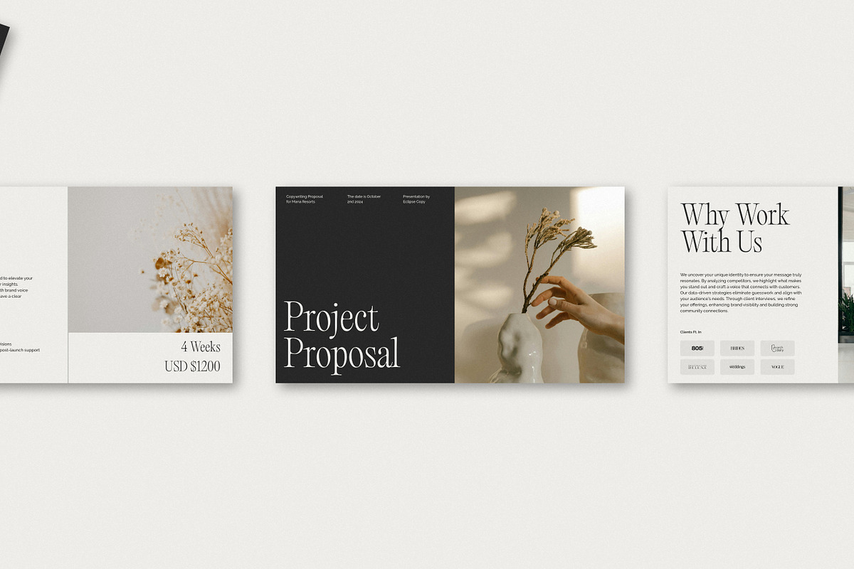 Project Proposal Template • Eclipse, a Presentation Template by Two Moons Studio (Photo 9 of 10)